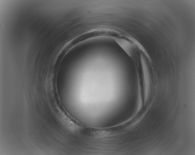 X0000082980783200702081807
