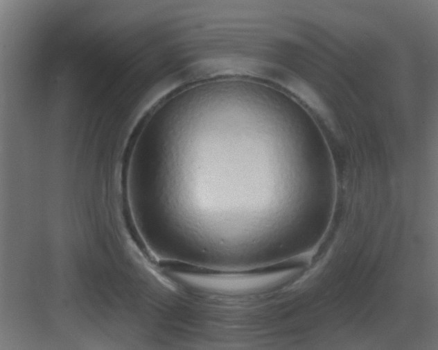 X0000082980790200702081806