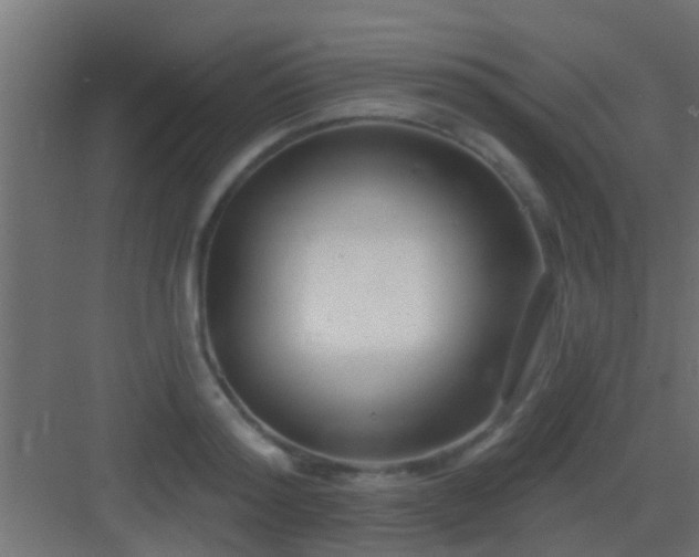 X0000082980796200702081806