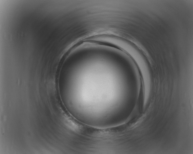 X0000082980834200702081805