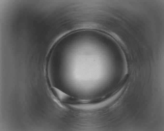 X0000082980846200702081806