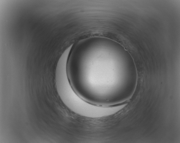 X0000082980916200702081804