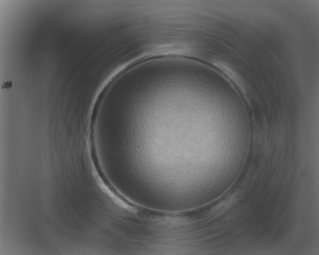 X0000082980941200702081804