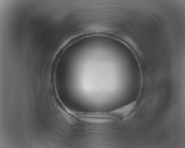 X0000082981023200702081802