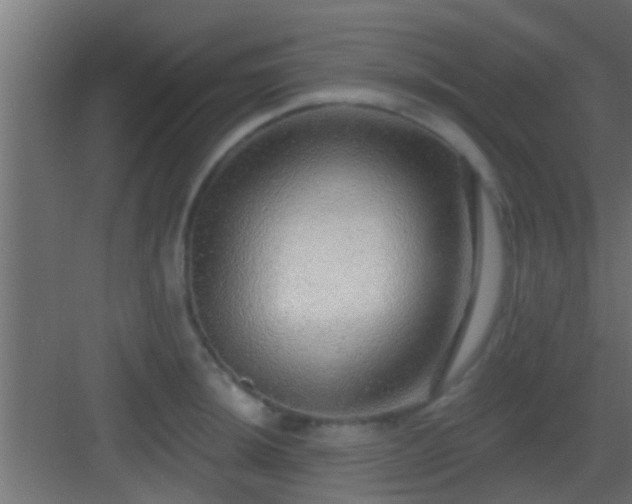 X0000082981044200702081803