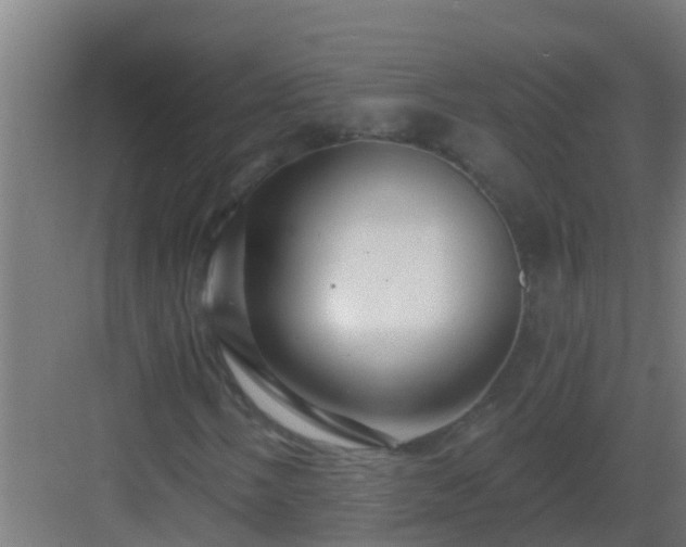 X0000082981058200702081802