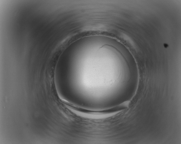 X0000082981064200702081802