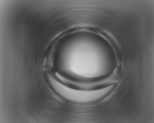 X0000082981065200702081802