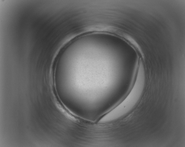 X0000082981080200702081801