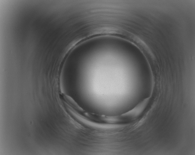 X0000082981081200702081801