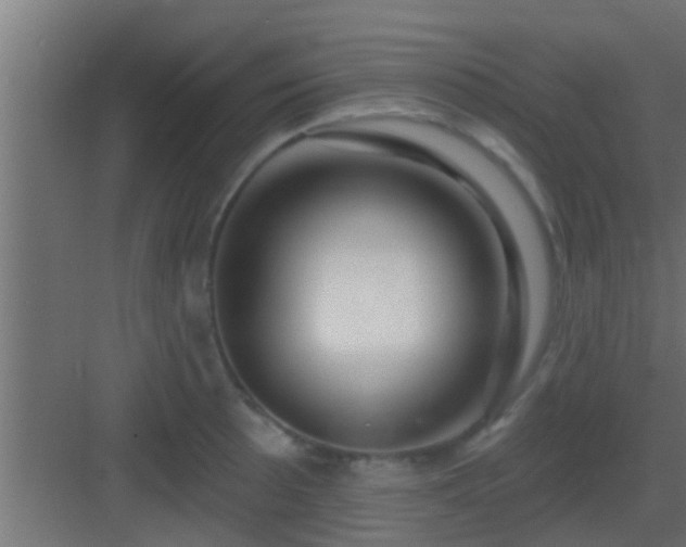 X0000082981089200702081801