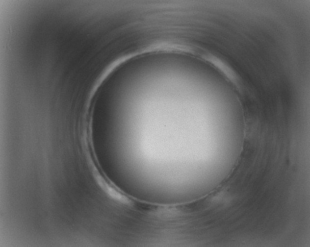 X0000082981094200702081801