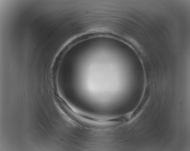 X0000082981118200702081800