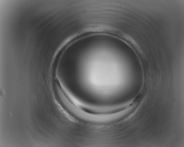 X0000082981122200702081800