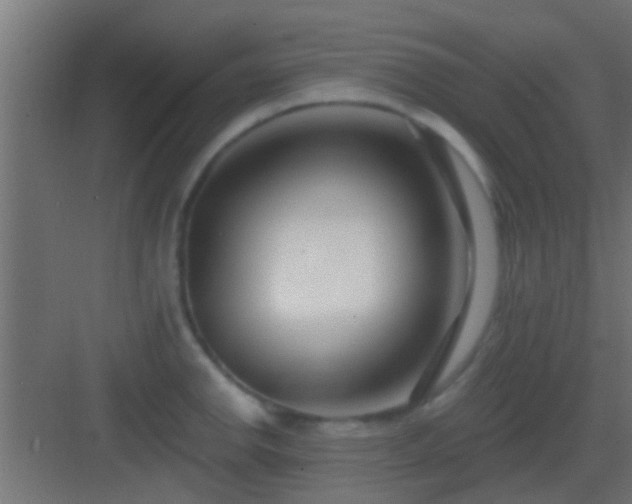 X0000082981142200702081801