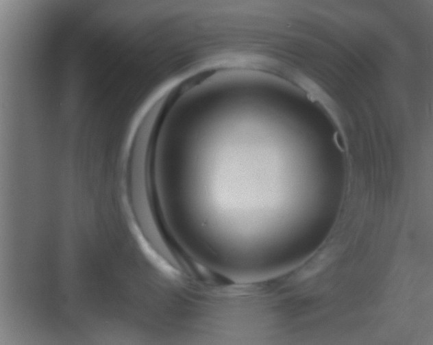 X0000082981152200702081801