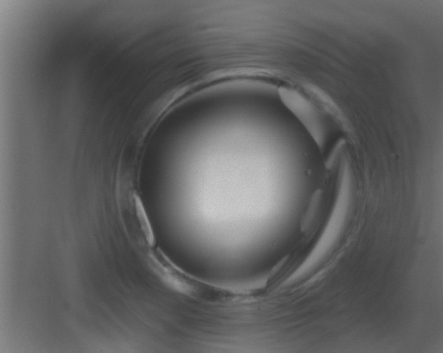 X0000082981177200702081800