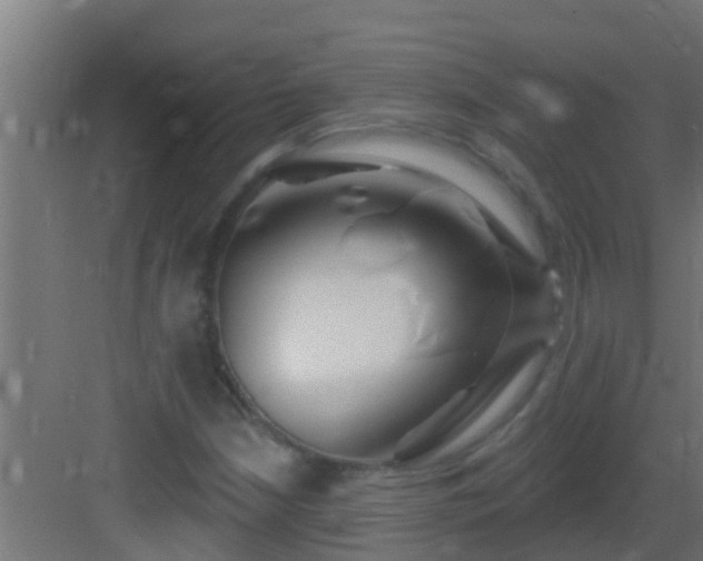 X0000082981210200702081759
