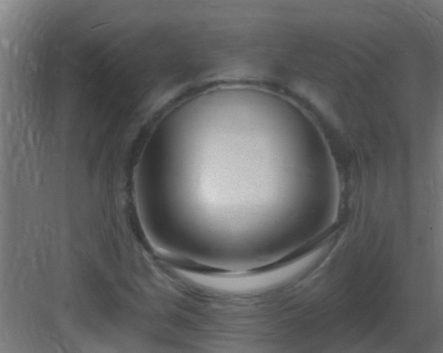 X0000082981213200702081759