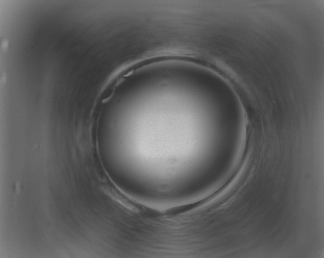 X0000082981222200702081759