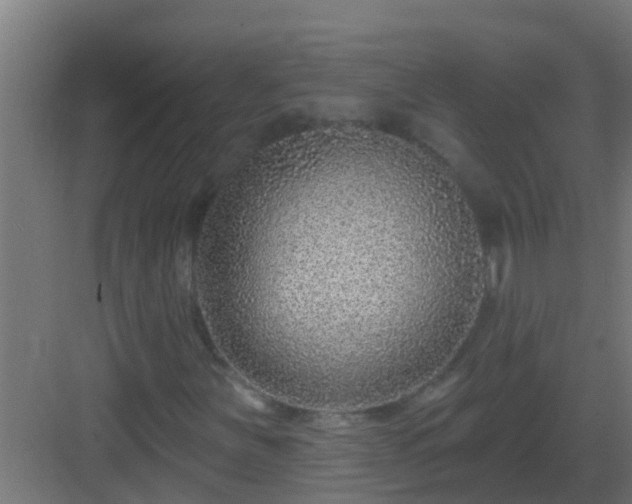 X0000082981251200702081759