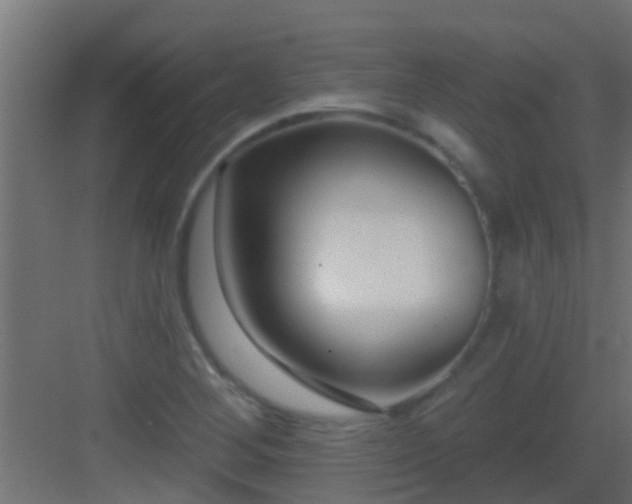 X0000082981268200702081758