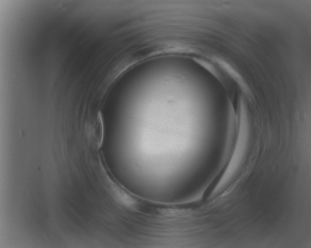 X0000082981281200702081758
