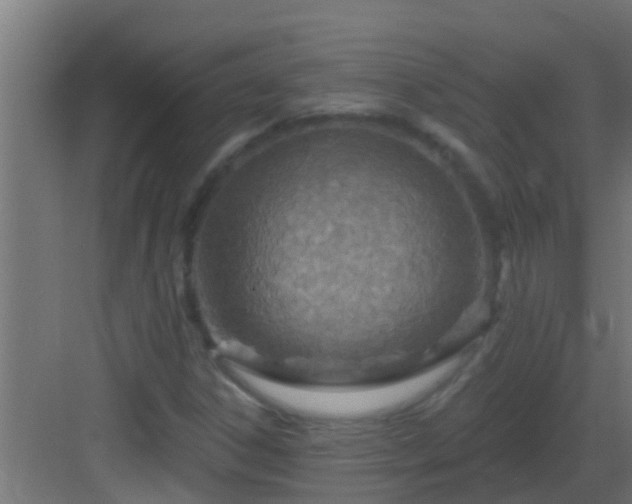 X0000082981306200702081757