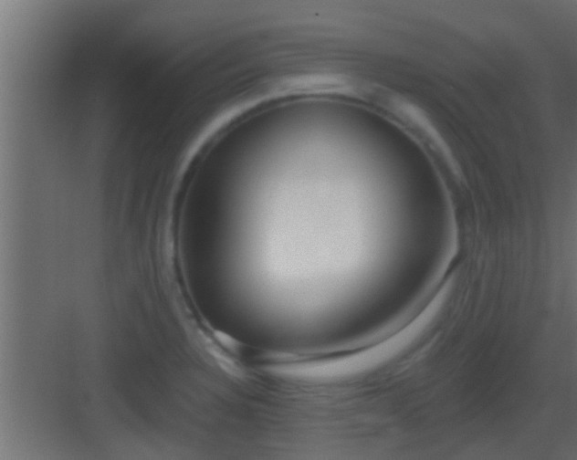 X0000082981328200702081757