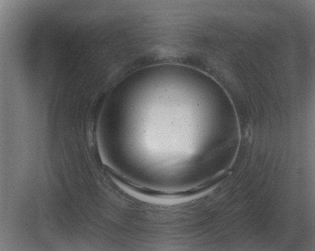 X0000082981348200702081757