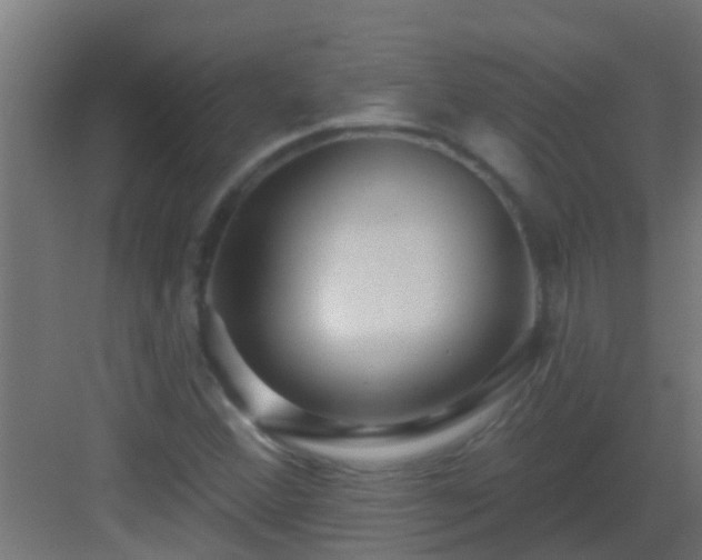 X0000082981356200702081757