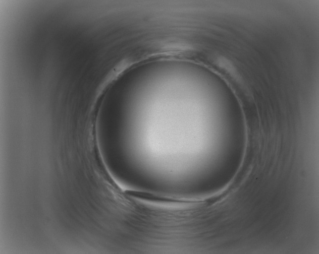 X0000082981362200702081757