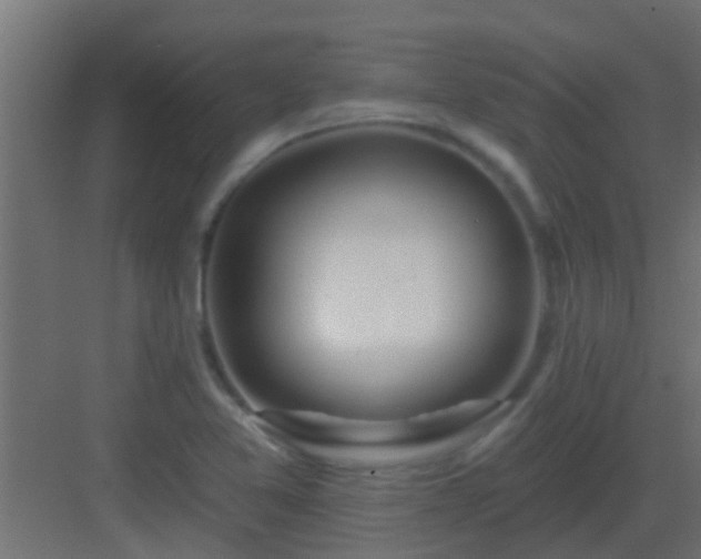X0000082981365200702081757