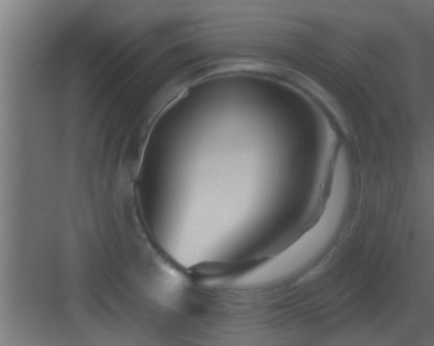 X0000082981377200702081756