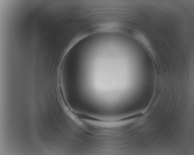 X0000082981386200702081756