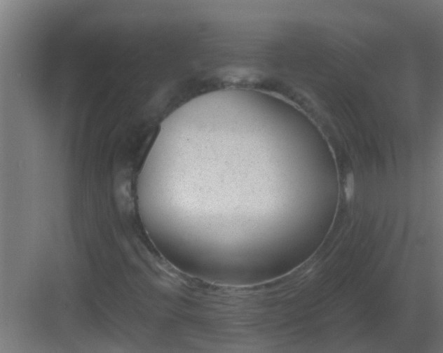 X0000082981396200702081755