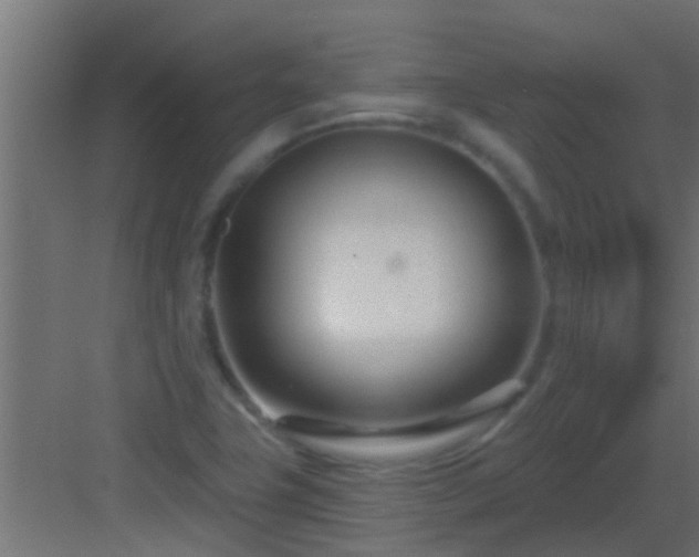 X0000082981411200702081756