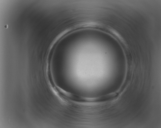 X0000082981418200702081756