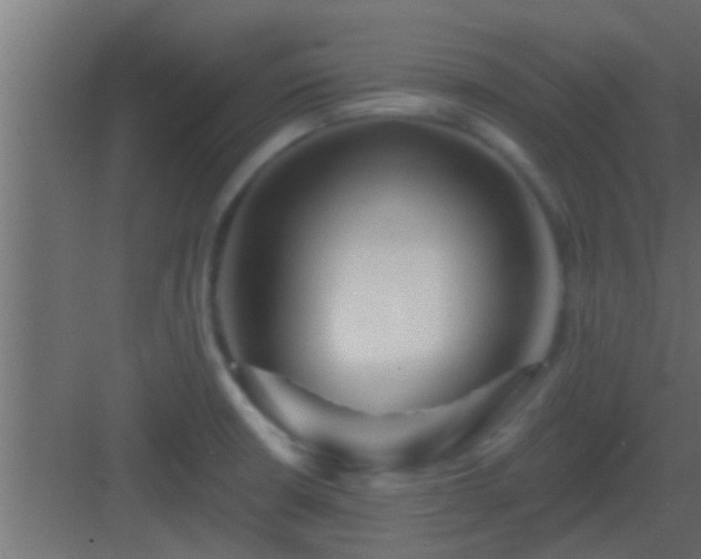 X0000082981426200702081756