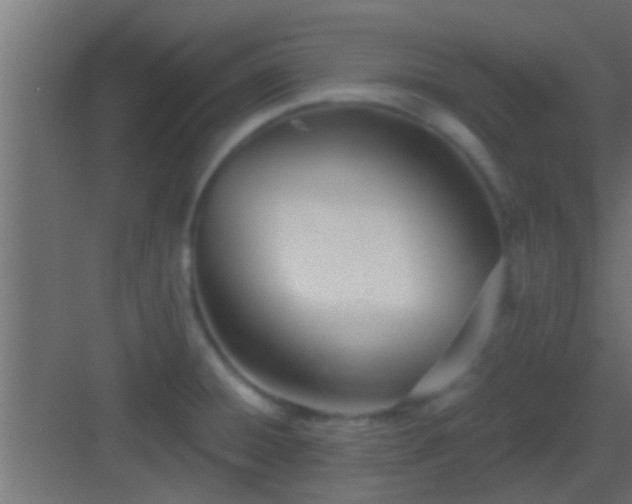 X0000082981428200702081756