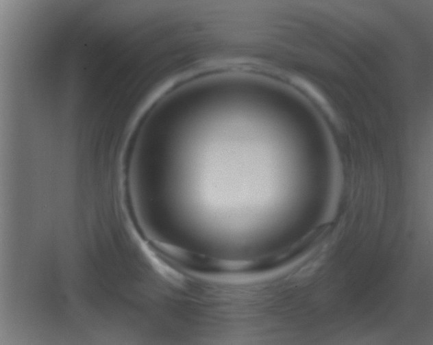 X0000082981430200702081756