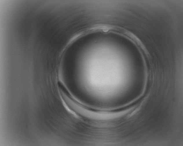 X0000082981433200702081756