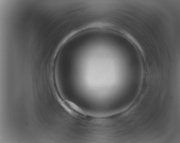 X0000082981437200702081756
