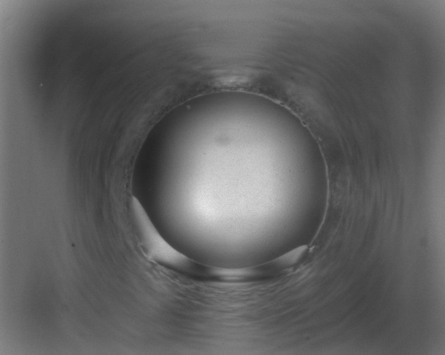 X0000082981441200702081755