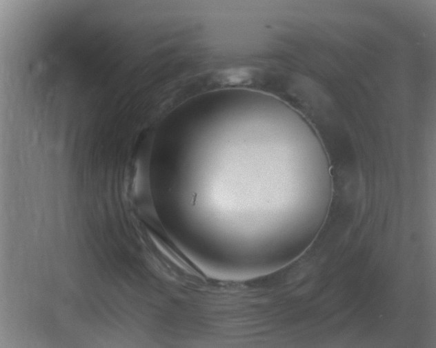 X0000082981442200702081755