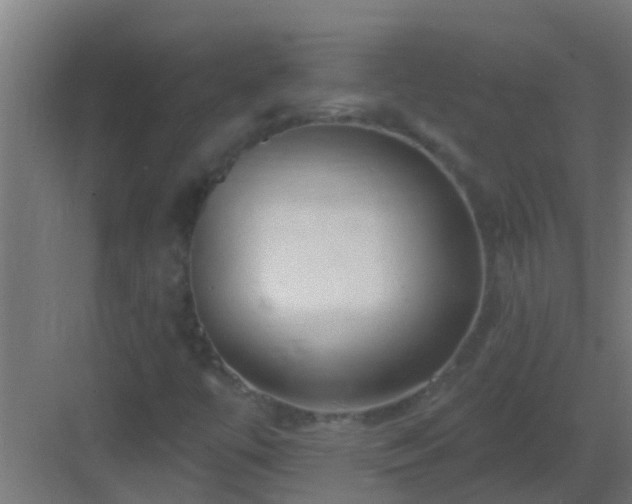 X0000082981447200702081755