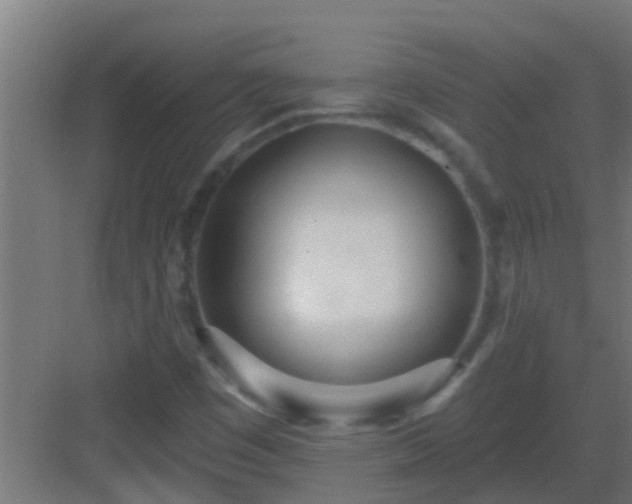 X0000082981449200702081755
