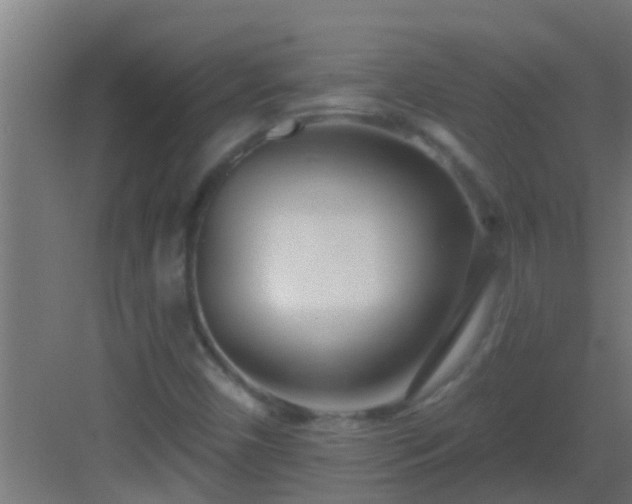 X0000082981450200702081755