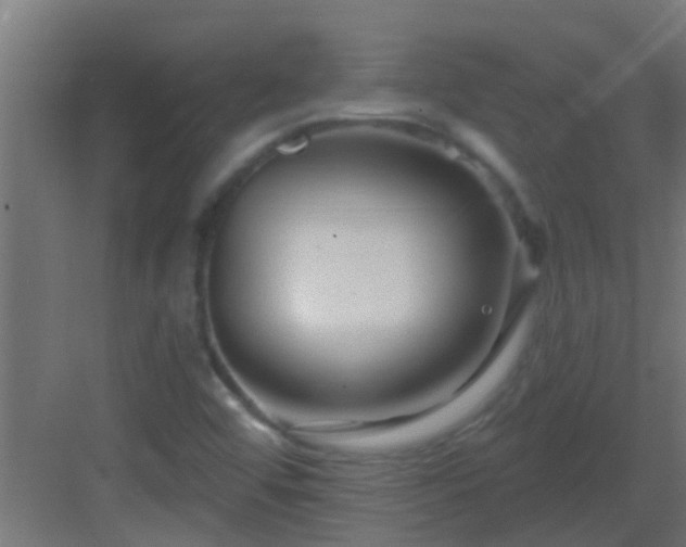 X0000082981456200702081755
