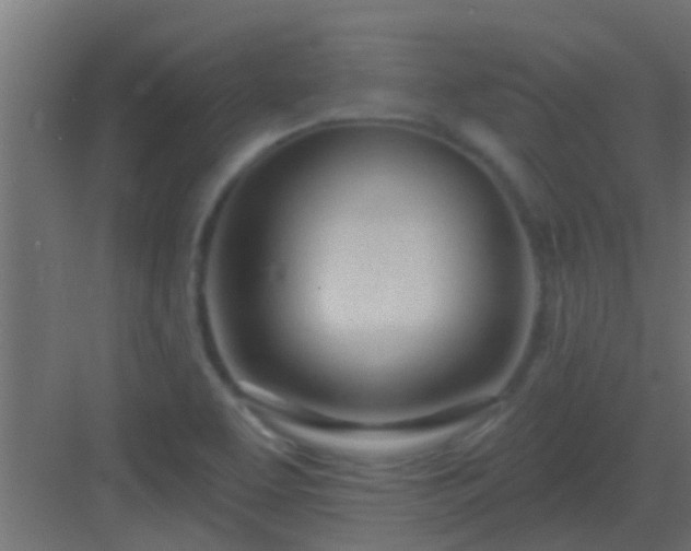 X0000082981463200702081755